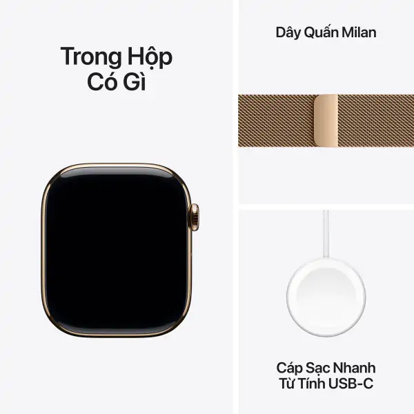 Apple Watch S10 LTE 46mm Viền Titan Dây Thép - Size S/M