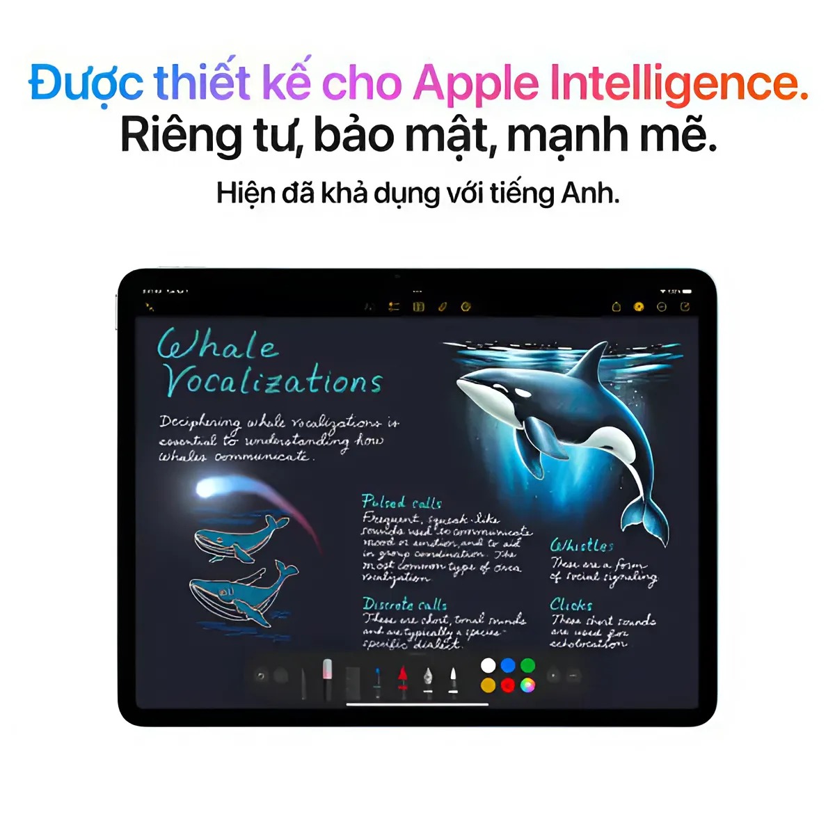 iPad Air M3 11 inch 5G 1TB - Chính hãng VN